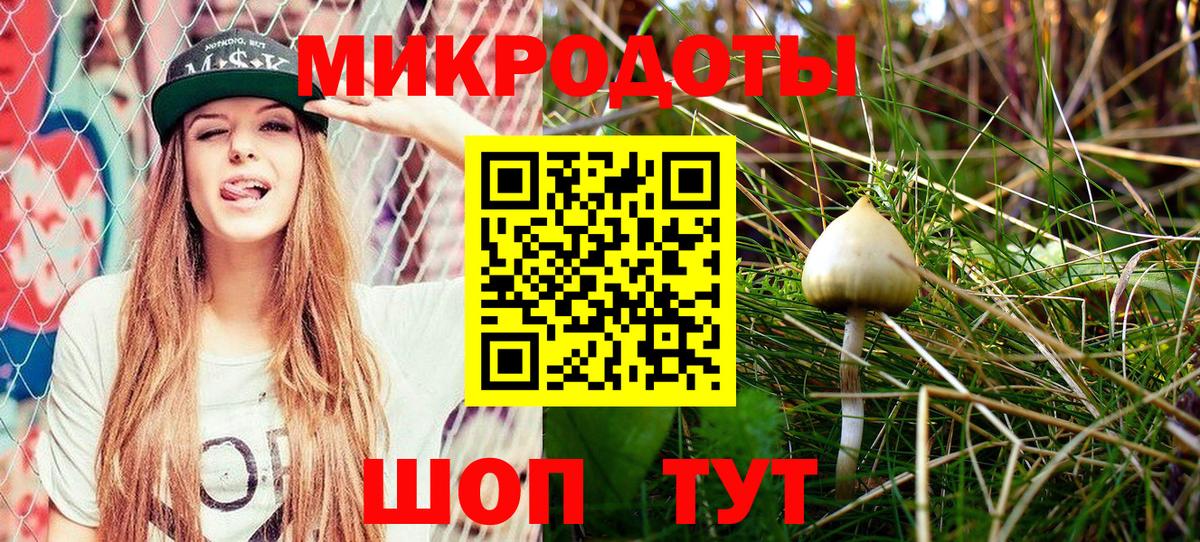 Галлюциногенные грибы Psilocybine cubensis  Псилоцибиновые грибы Cubensis  Шали  Вход с VPN 